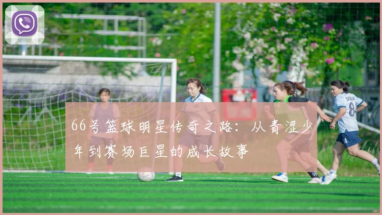 66号篮球明星传奇之路：从青涩少年到赛场巨星的成长故事