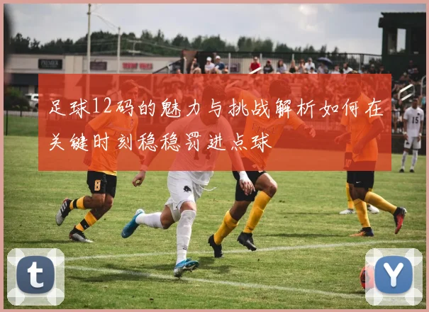 足球12码的魅力与挑战解析如何在关键时刻稳稳罚进点球